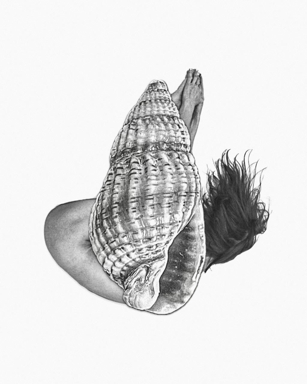 ракушка на переднем плане на заднем плане девушка перевернутая 