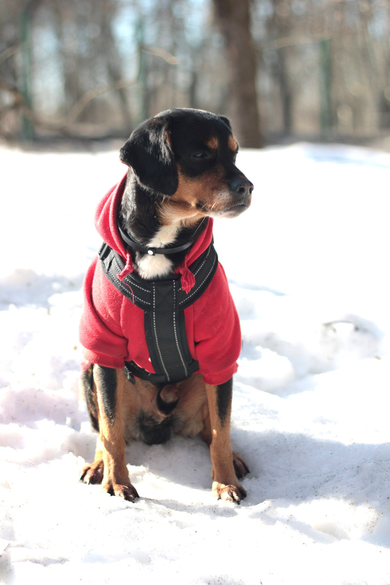 Маша и Кекс. Катя Попова|ЛайфСтайл фотограф