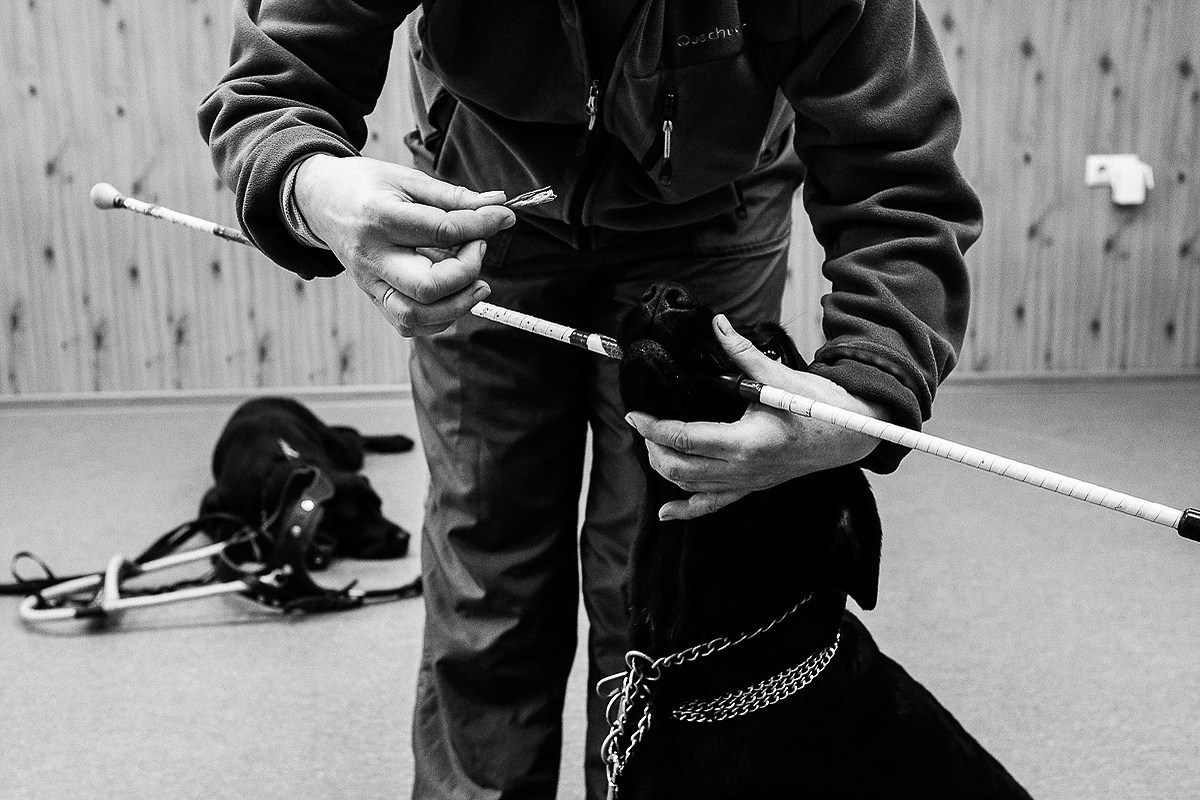 Больше, чем проводник. Промышленная и репортажная фотография