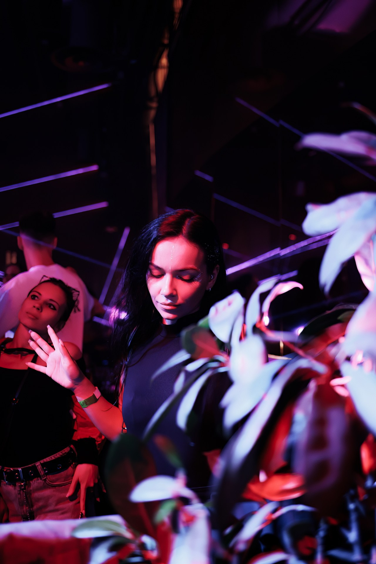 LFD Open Air. Night2Day Санкт-Петербург