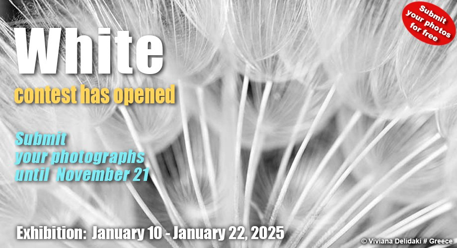 Exhibitions. Author’s fine art prints with international delivery