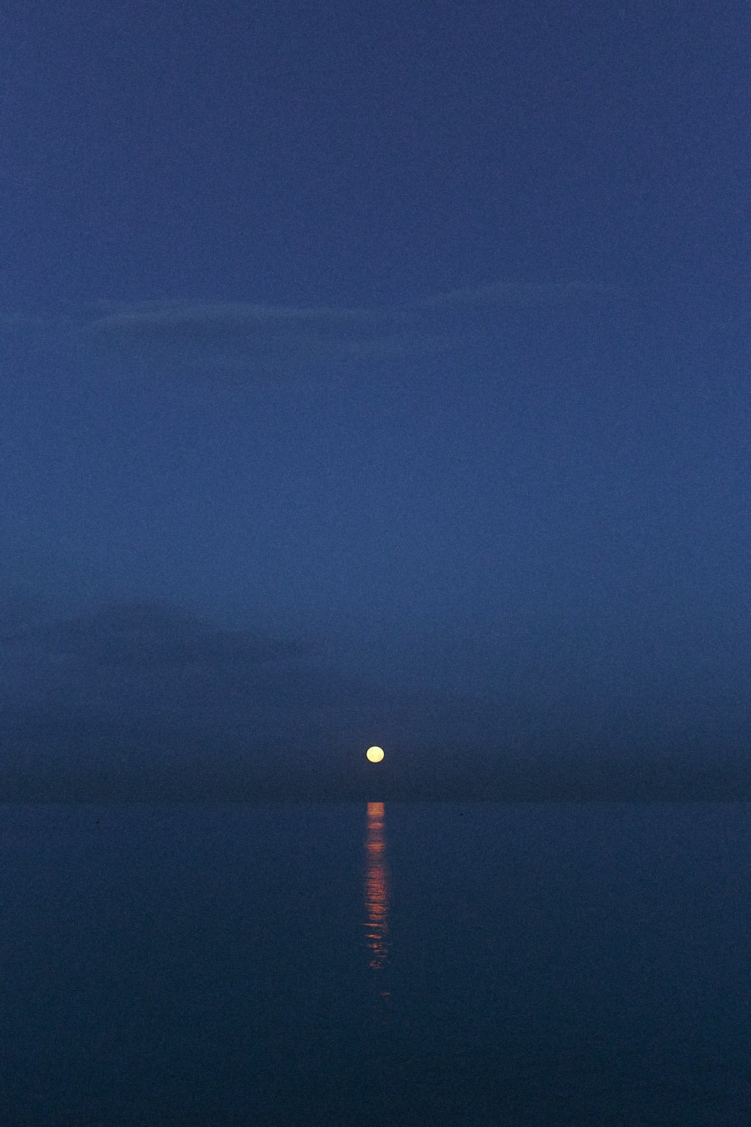 Наблюдения. Семейный фотограф в Новосибирске Артём Кузнецов