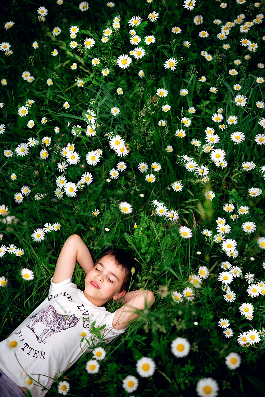 Ромашковая полянка. Семейный и детский фотограф в Ростове-на-Дону Екатерина Шевченко