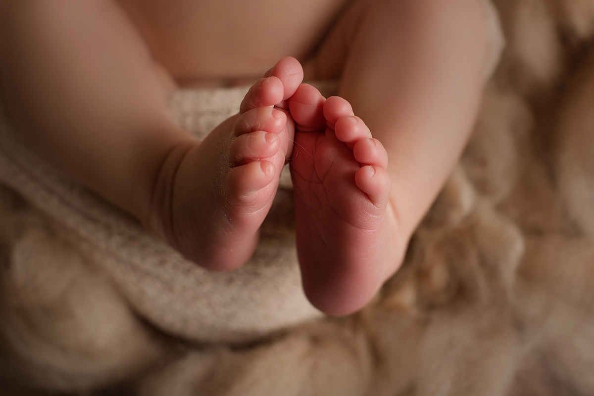 Миша 9 дней (Пакет Экспресс). Фотограф новорожденных Елена Панова