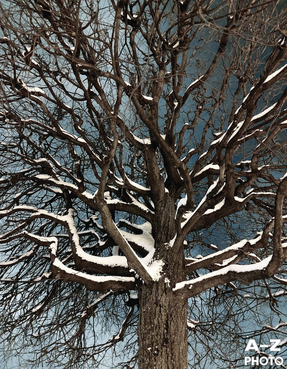 #ФОТОНЕДЕЛИ 12.01.2026. Женский семейный фотограф Тула Москва Захарова Анна