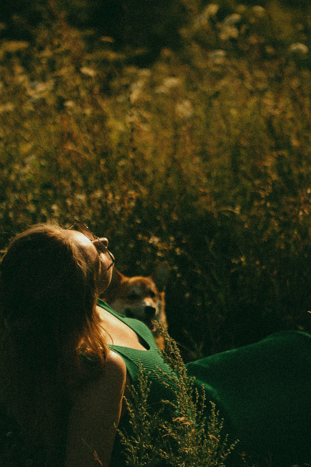 Лиза и Виндзор. Фотограф Нижний Новгород