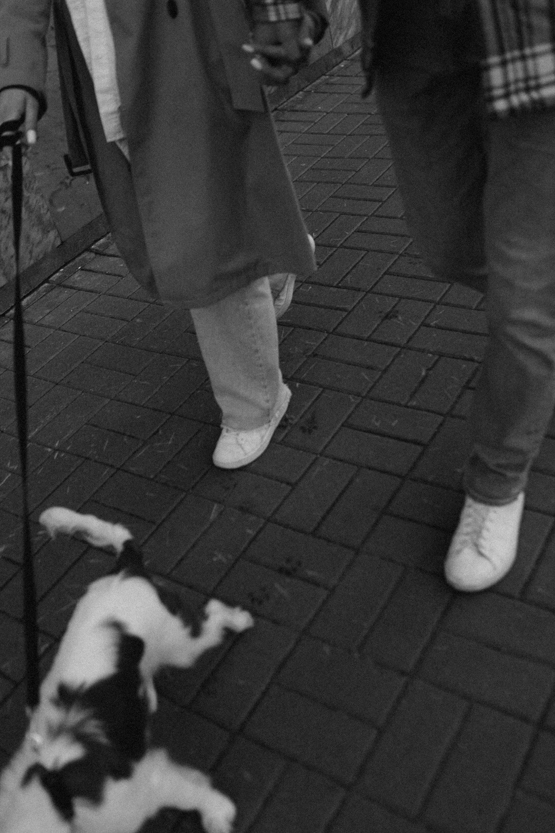 Дима и Алла. Фотограф Нижний Новгород