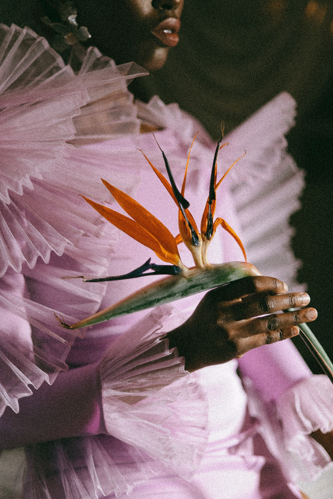 Эрика. Фотограф Нижний Новгород