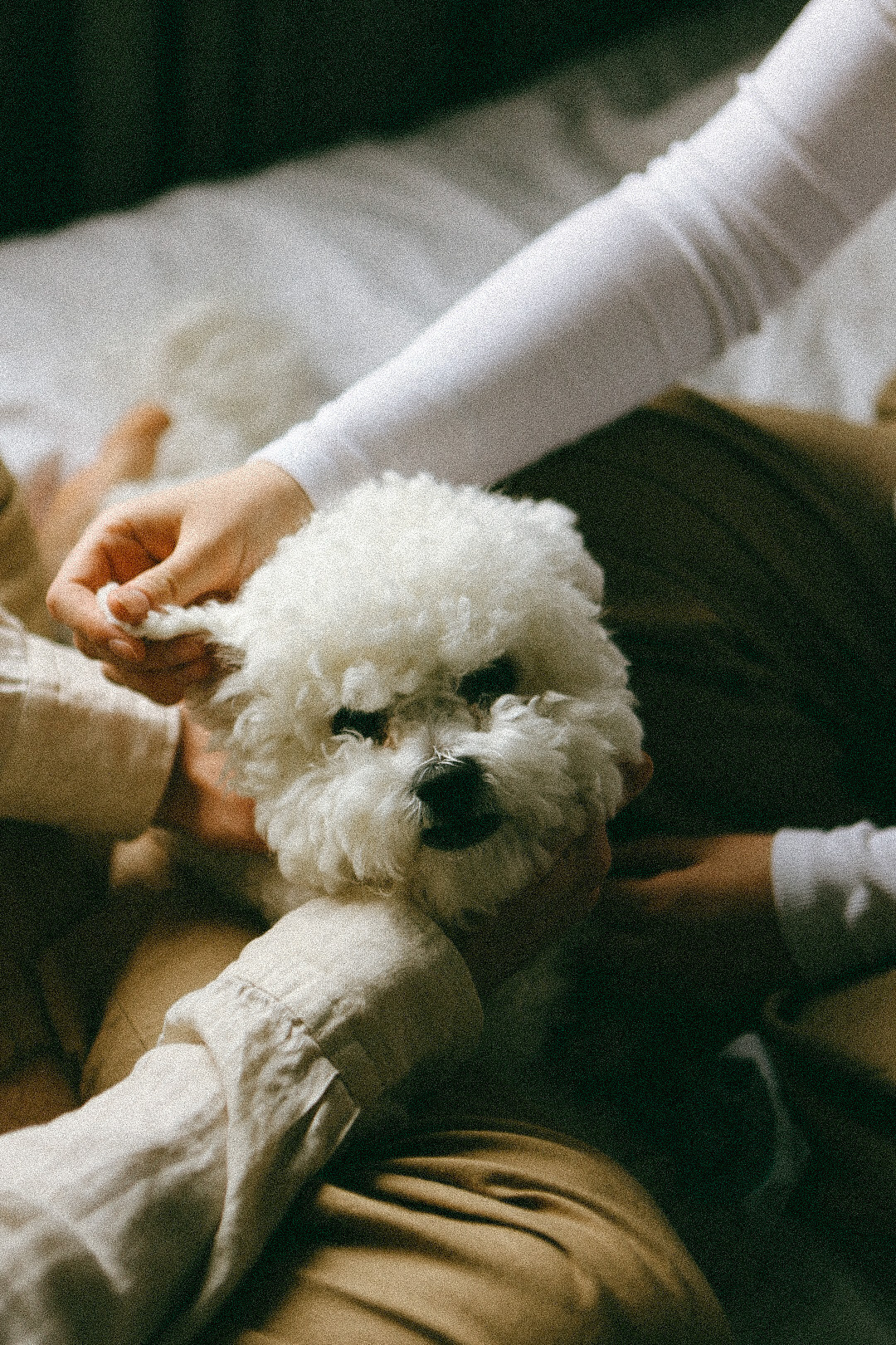 Саша и Алёна. Фотограф Нижний Новгород