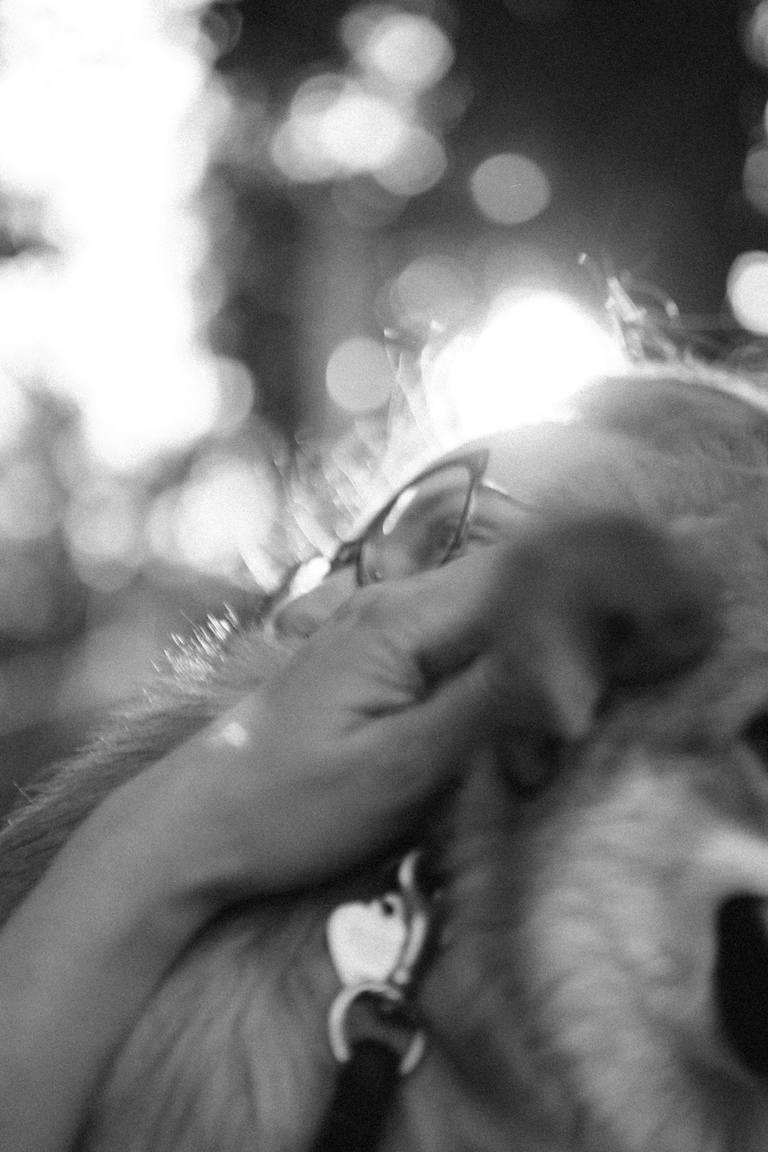 Лиза и Виндзор. Фотограф Нижний Новгород