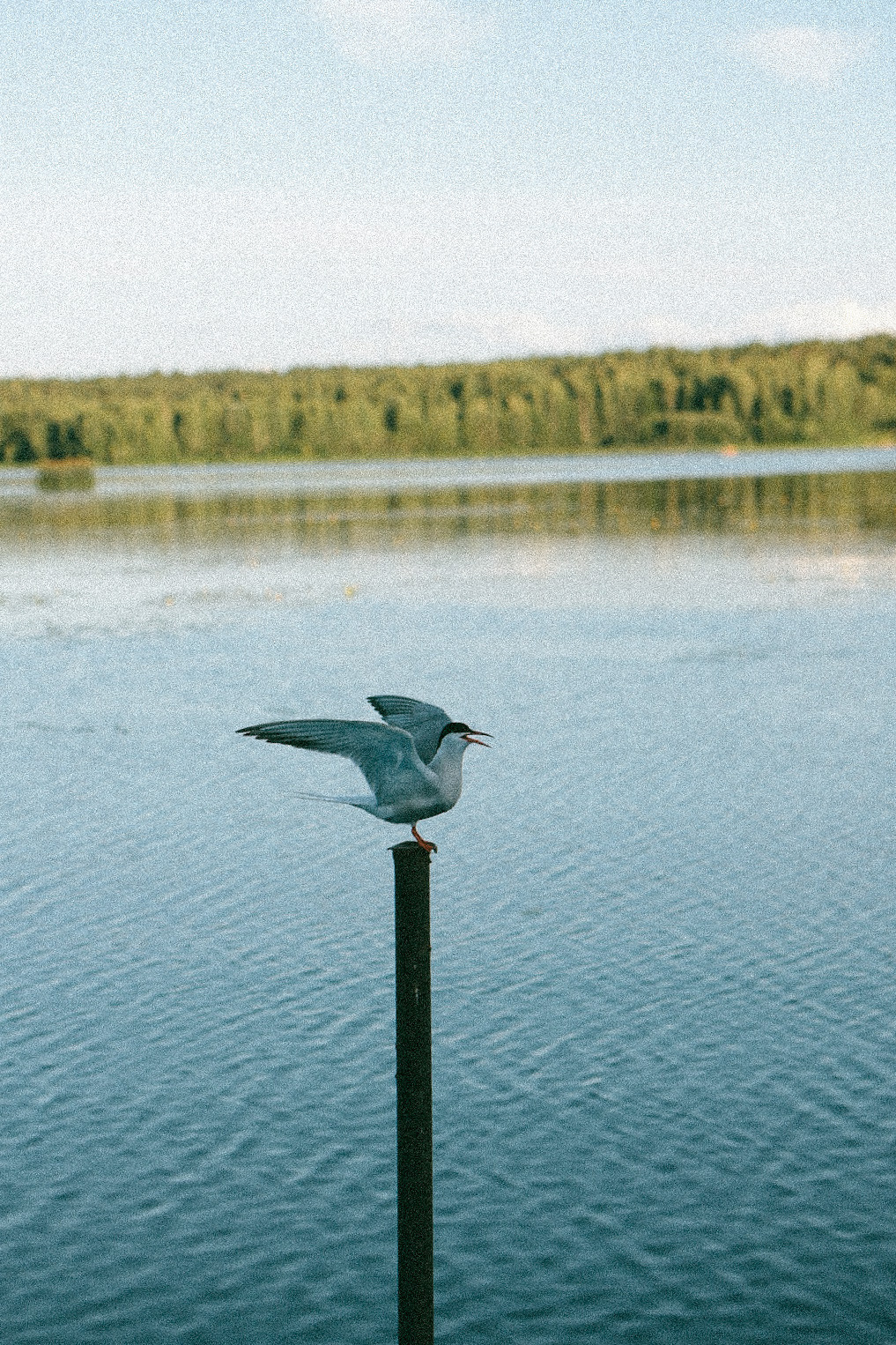 Girls party. Фотограф Нижний Новгород