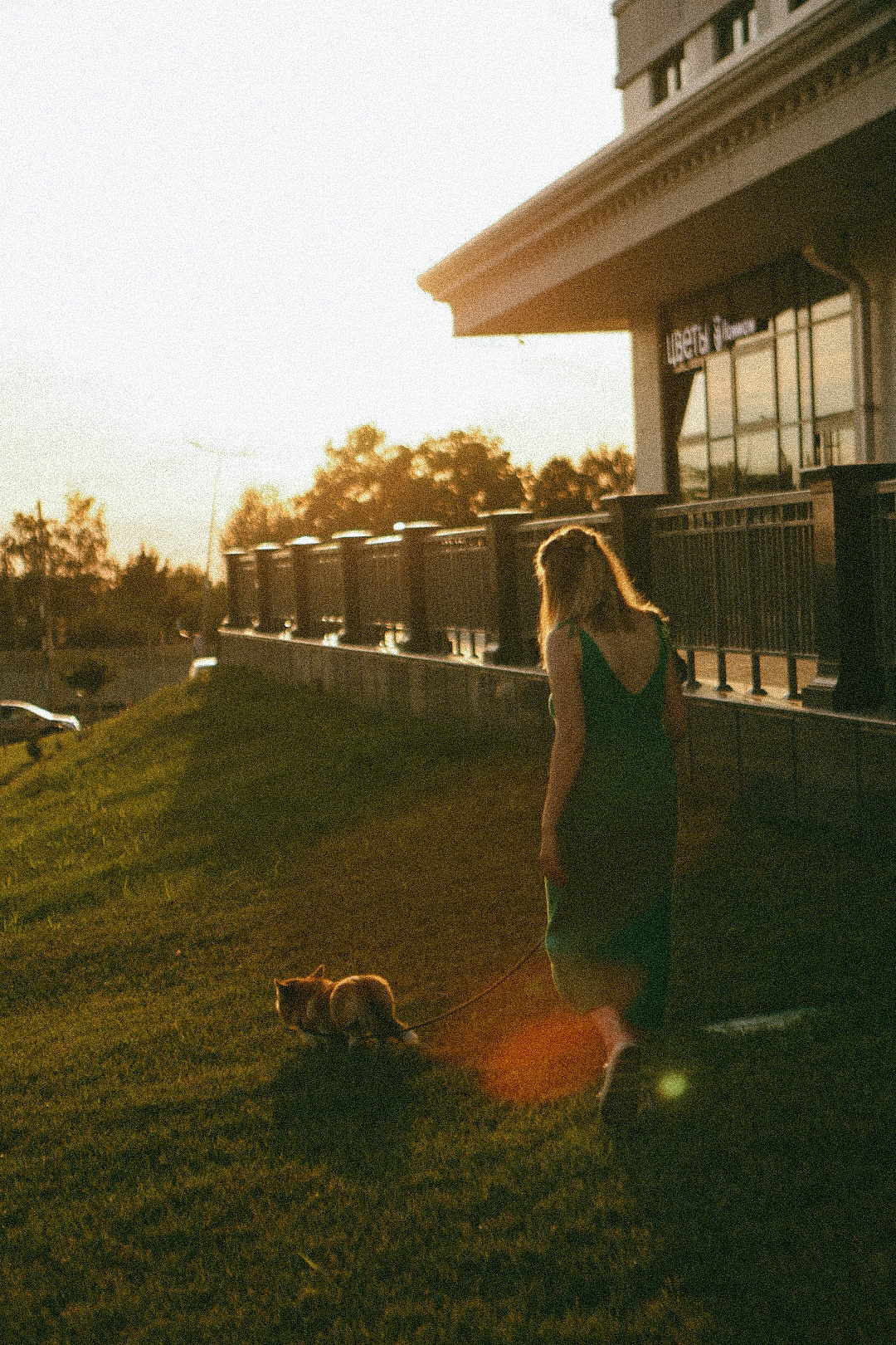Лиза и Виндзор. Фотограф Нижний Новгород