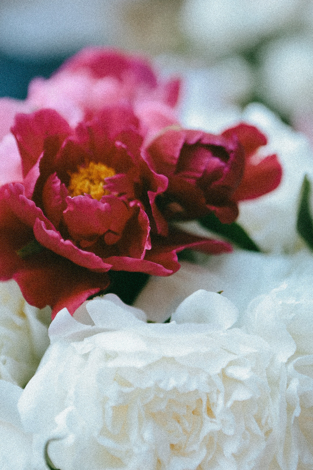 B-day party 💓. Фотограф Нижний Новгород