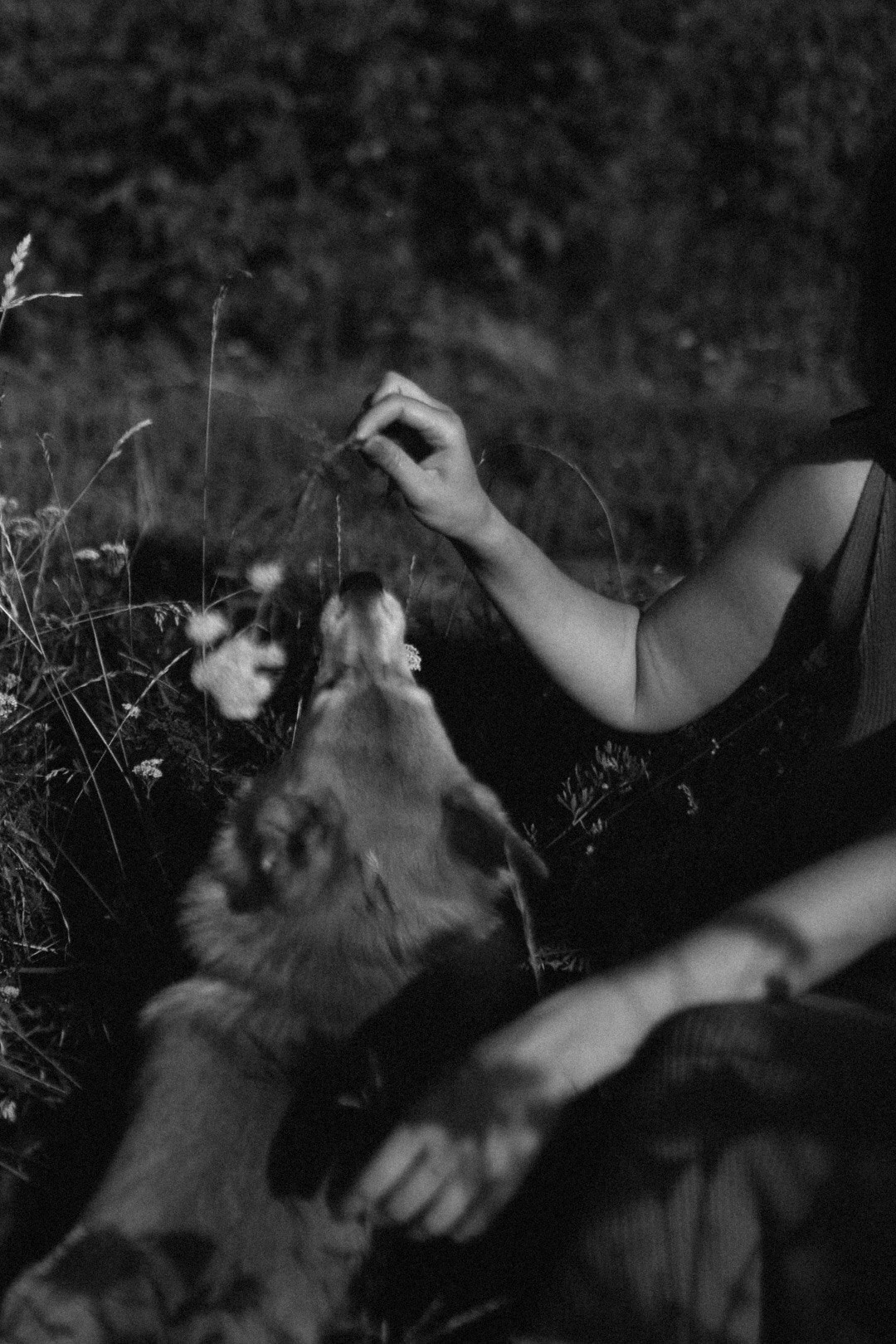 Лиза и Виндзор. Фотограф Нижний Новгород