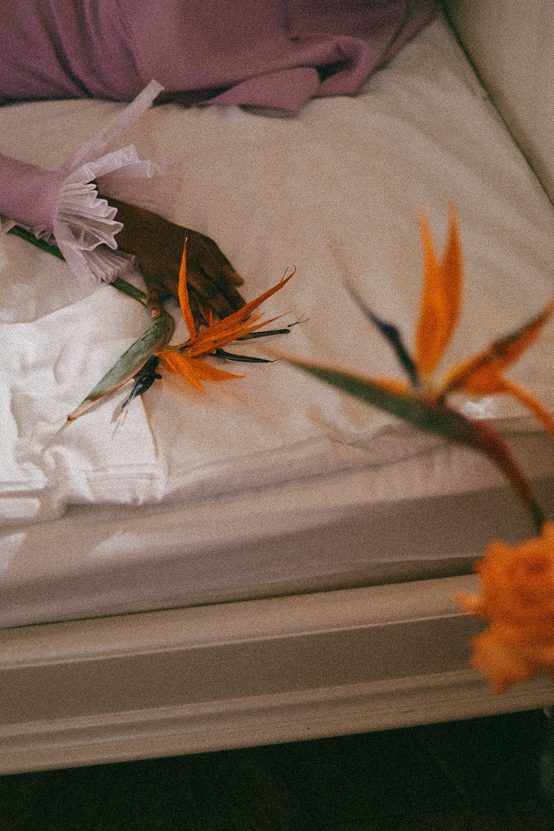 Эрика. Фотограф Нижний Новгород