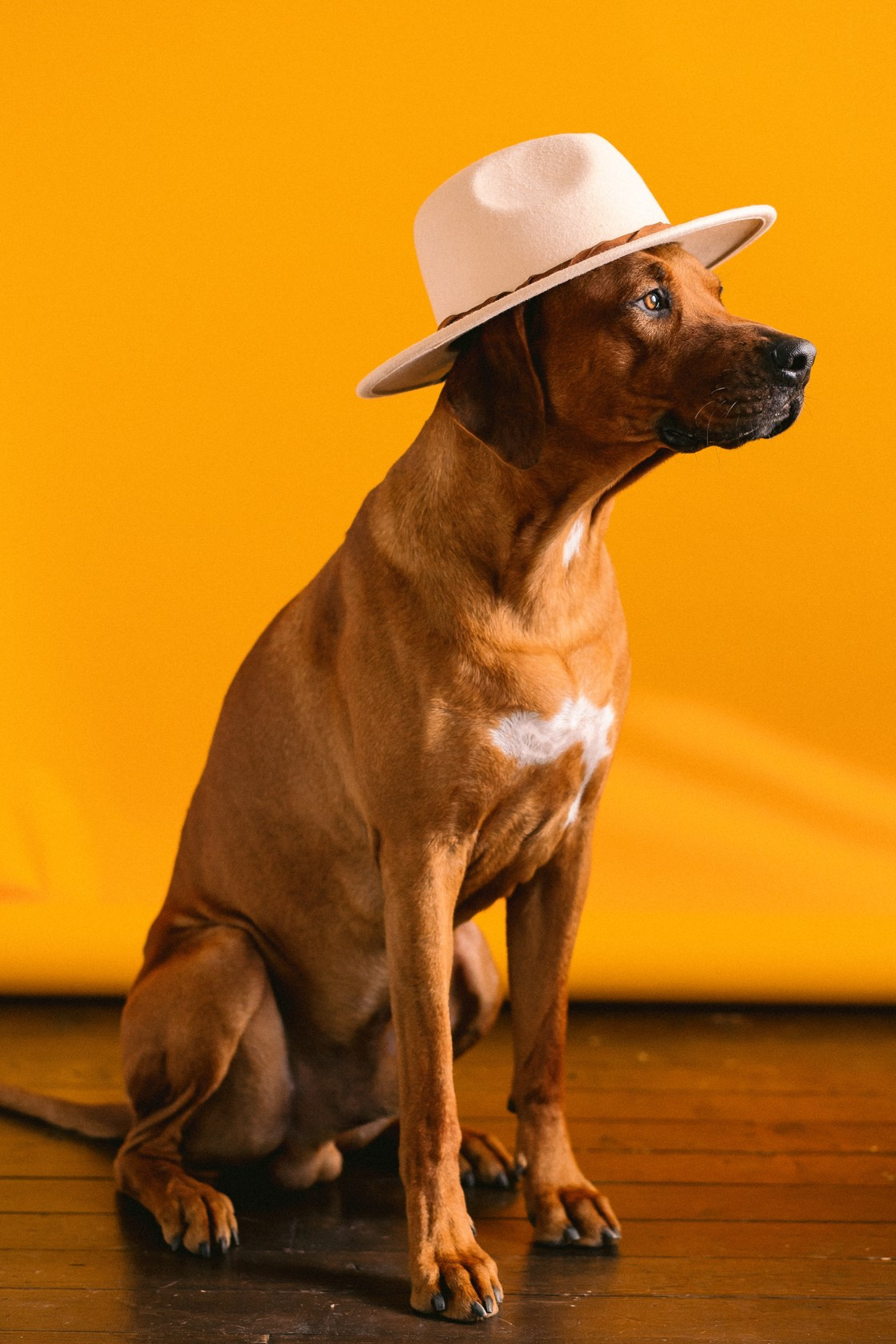 Виктория и Клинч