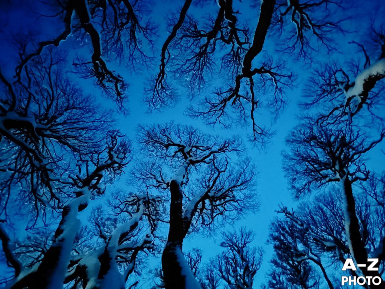 #ФОТОНЕДЕЛИ 05.01.2026. Женский семейный фотограф Тула Москва Захарова Анна