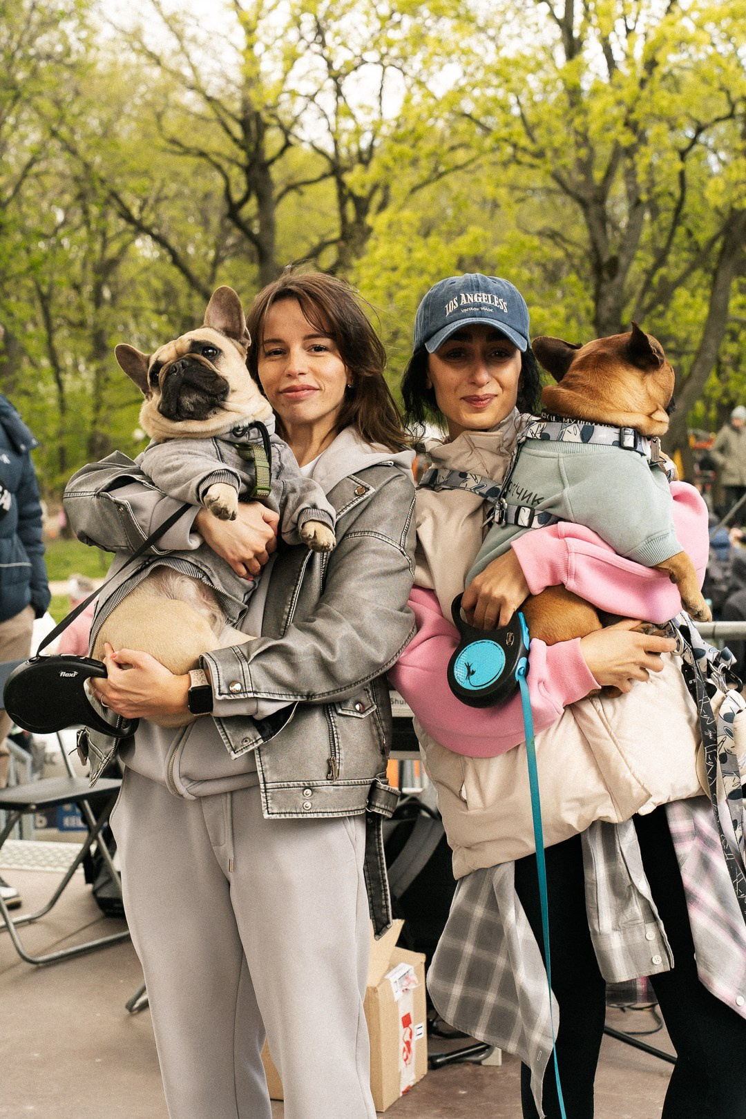 Парад Бульдогов. Axenov_eugene