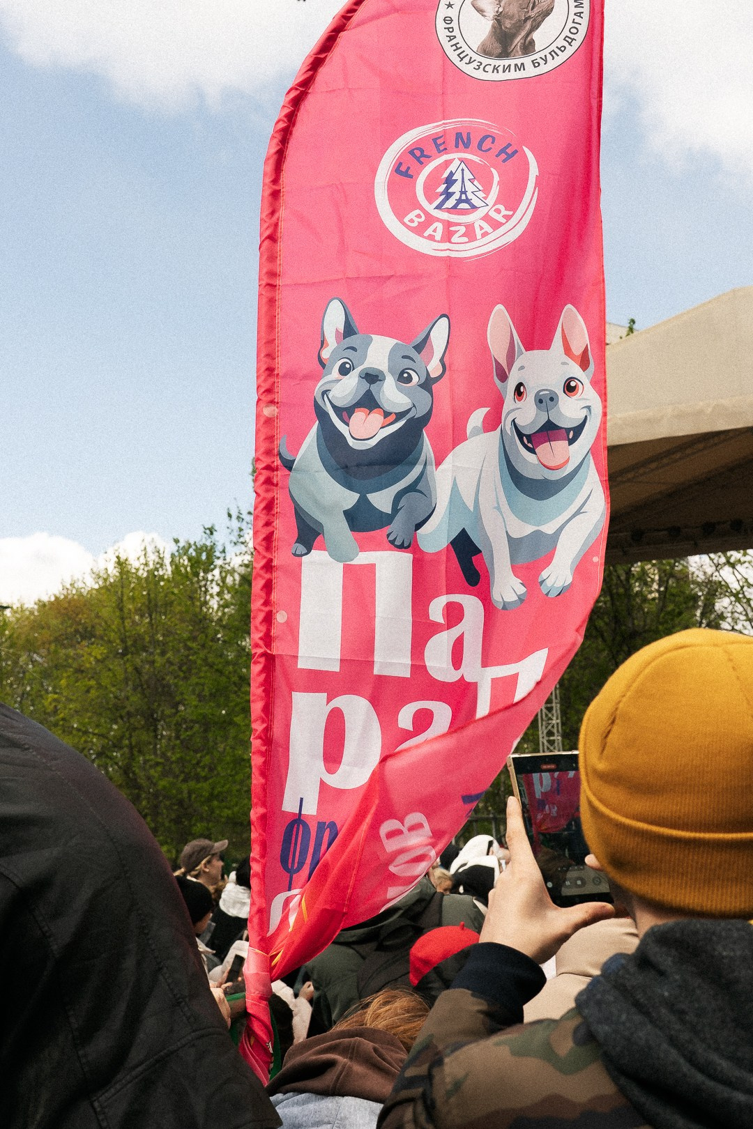 Парад Бульдогов. Axenov_eugene