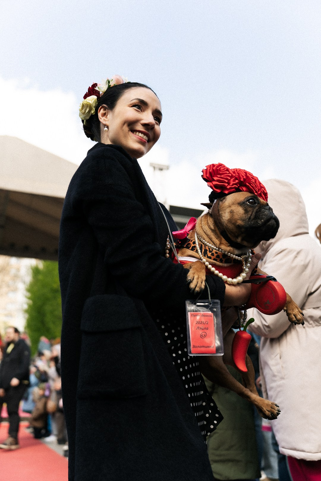 Парад Бульдогов. Axenov_eugene