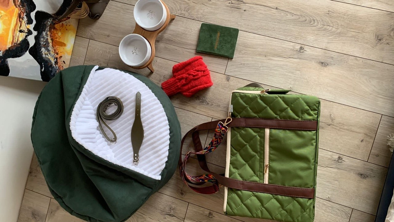 Сон и отдых. Профессиональный питомник левреток РКФ/FCI ASTI SAPPHIRE 💎 Сочи|Санкт-Петербург