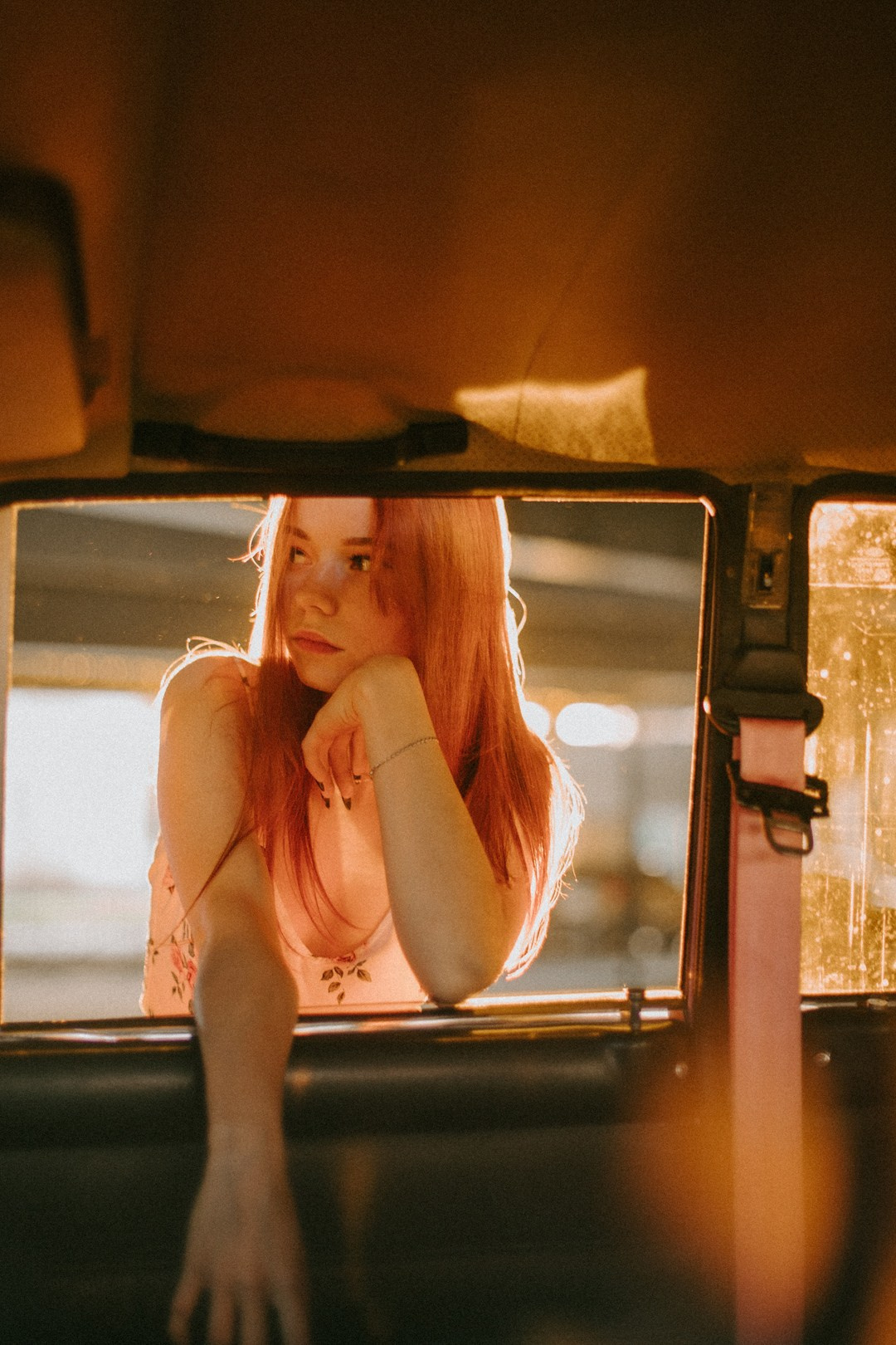 Розовый закат. Павел Померанцев