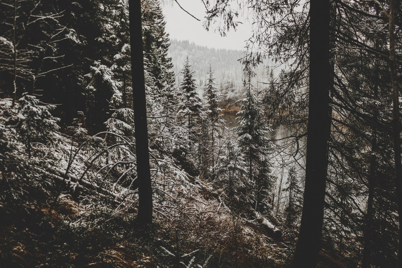 Усьвенкие столбы