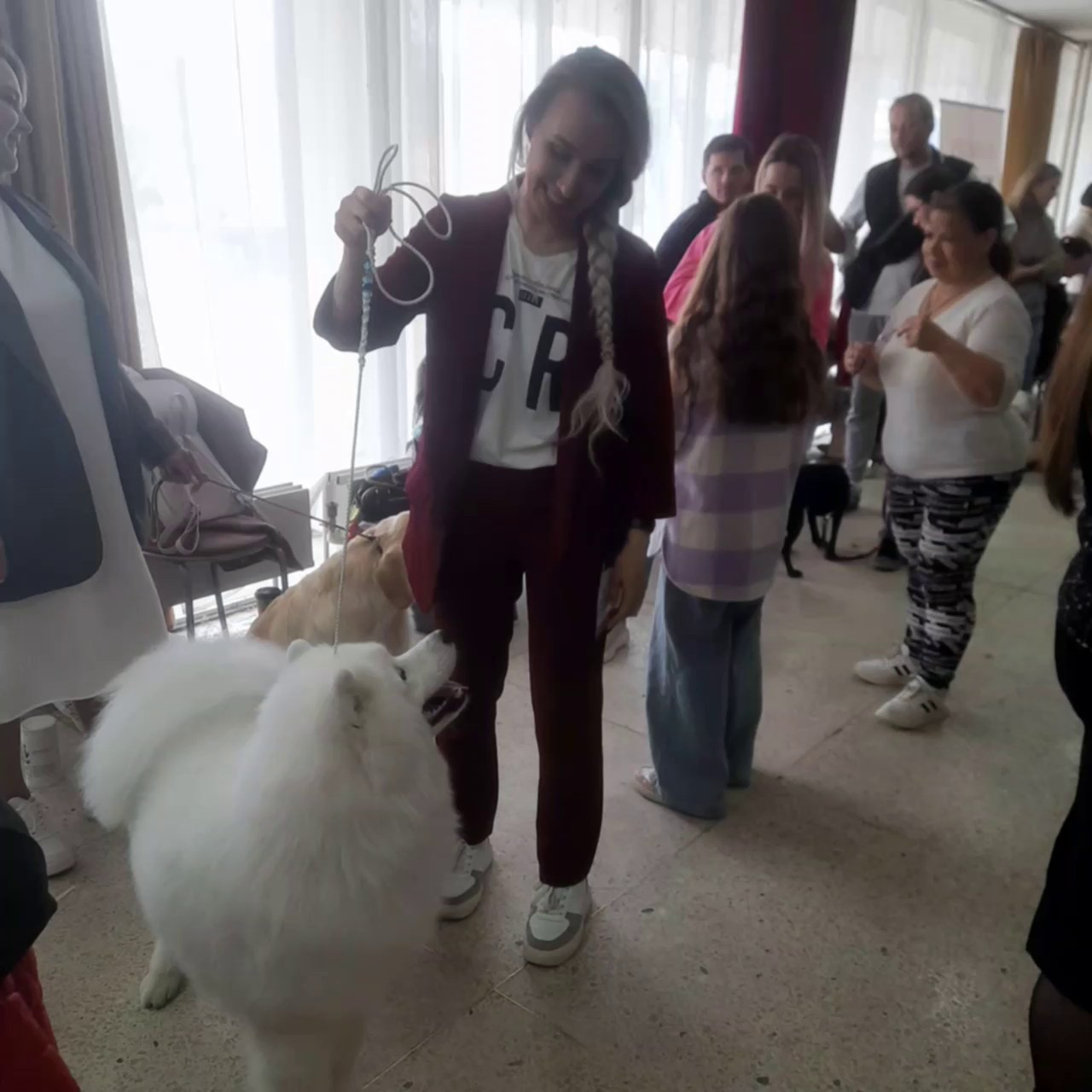 Помет «Р» 04.10.2023 д. р. Самоед Новосибирск