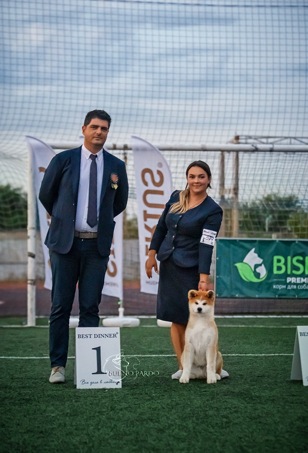 АКИТА. Kawaii Kuma питомник собак пород Корги пемброк, Акита ину, Сиба