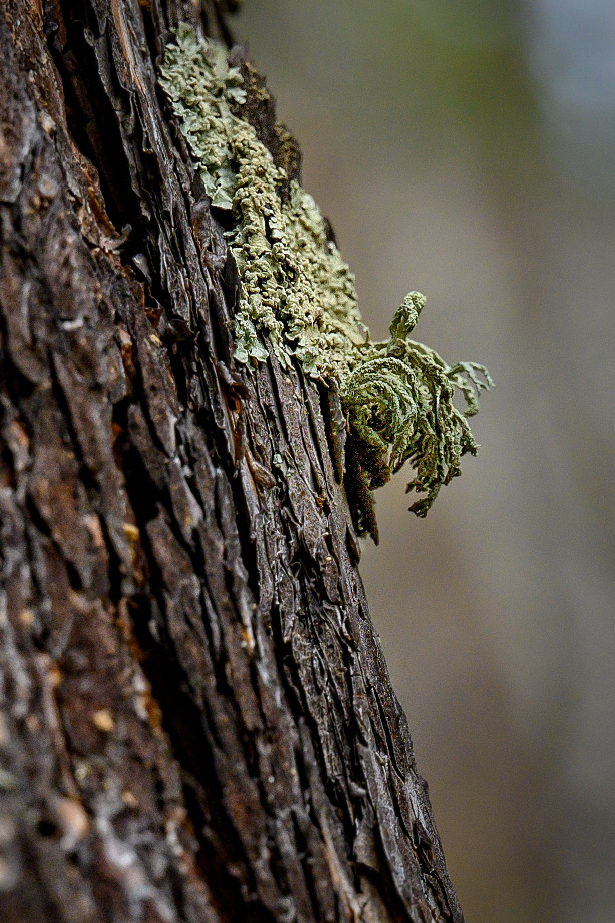 Осень. FotoGraf