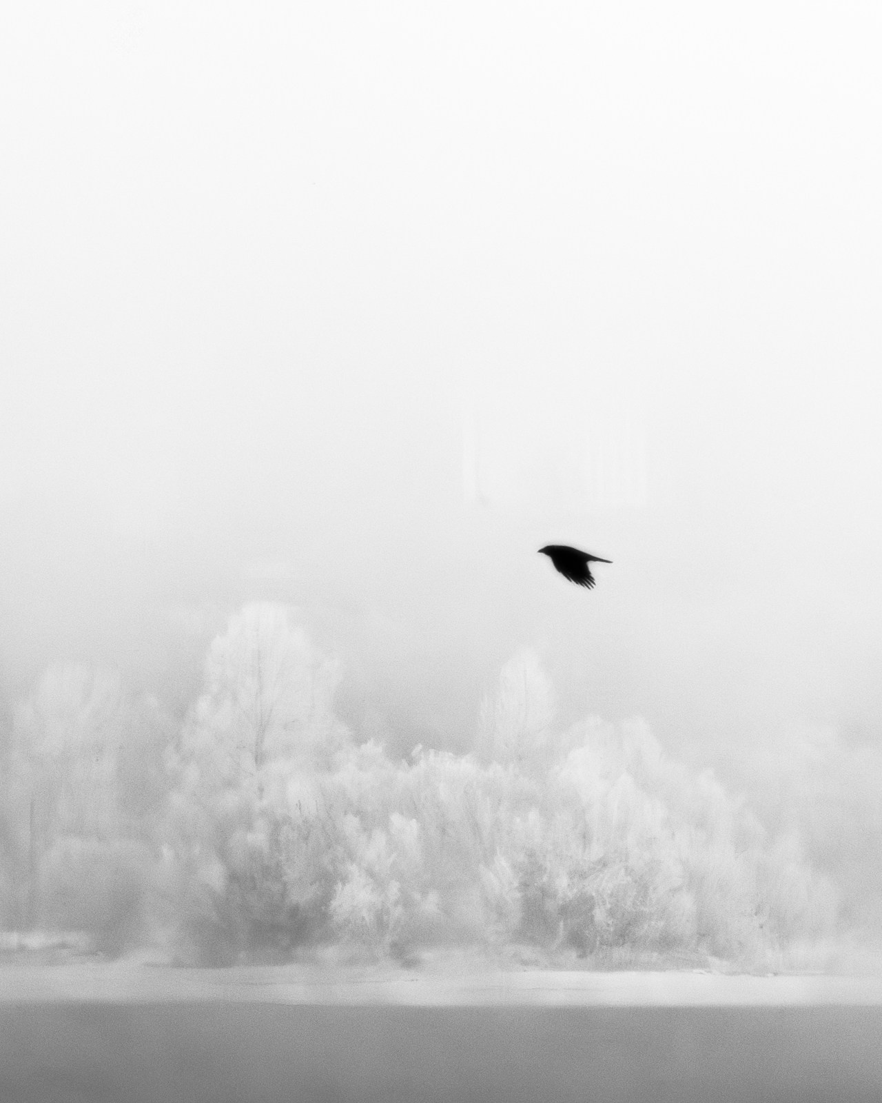 Portfolio. Estetyka