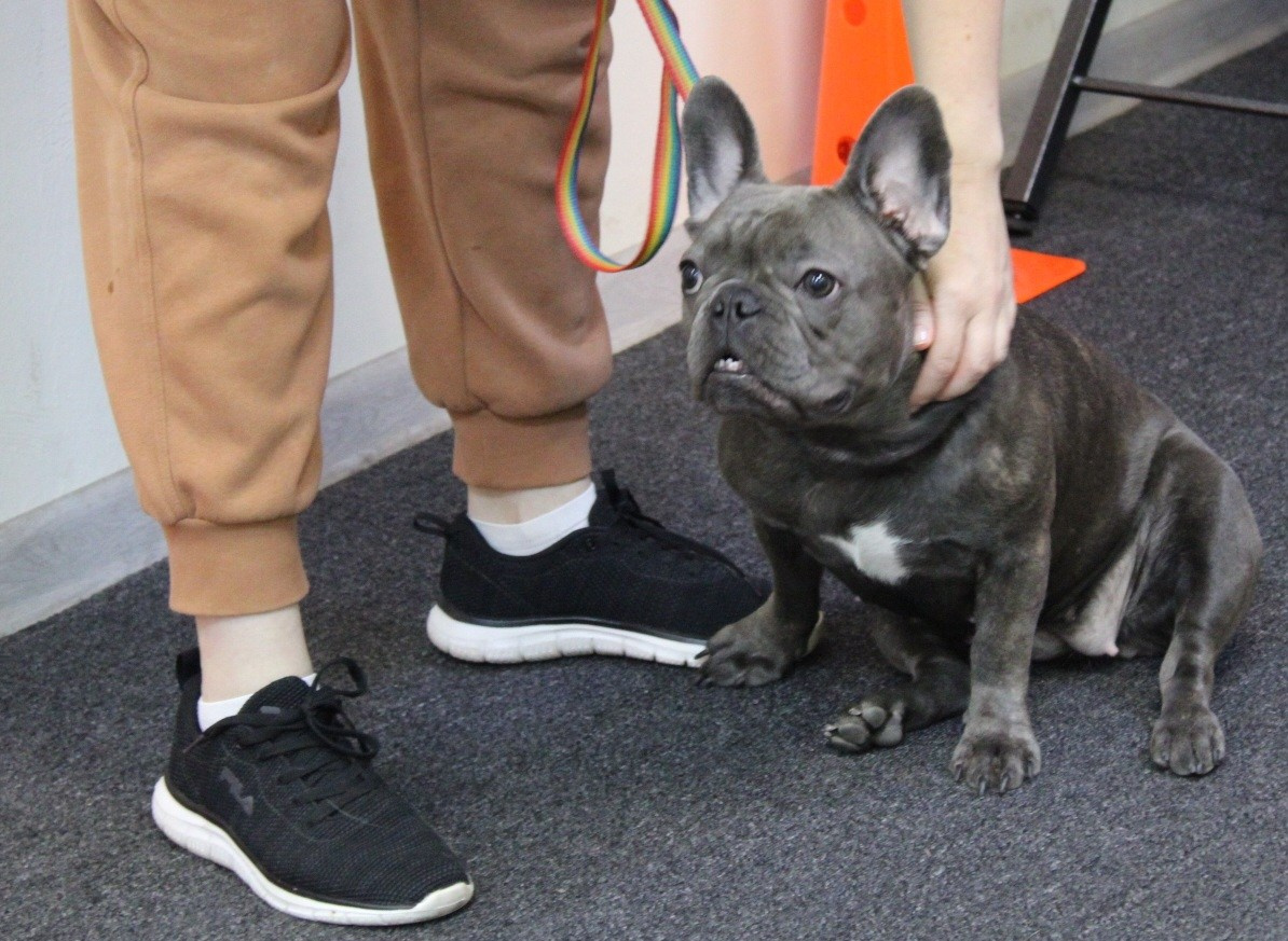 Репортаж УС «ДЦ Ральф». Катя Попова|ЛайфСтайл фотограф