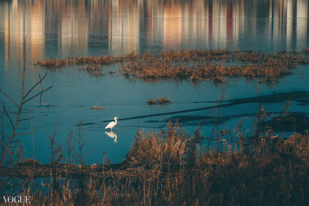 VOGUE.IT. Фотограф в Находке Сальникова Оксана