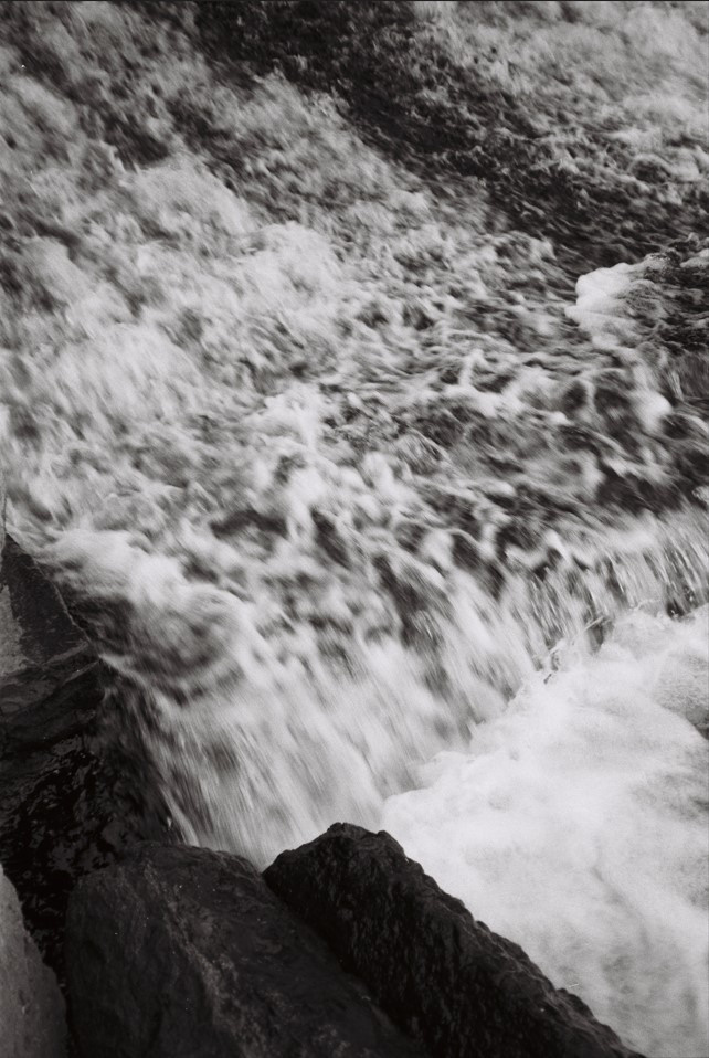 Пленка. Фотограф в Санкт-Петербурге Мария Комолитдинова