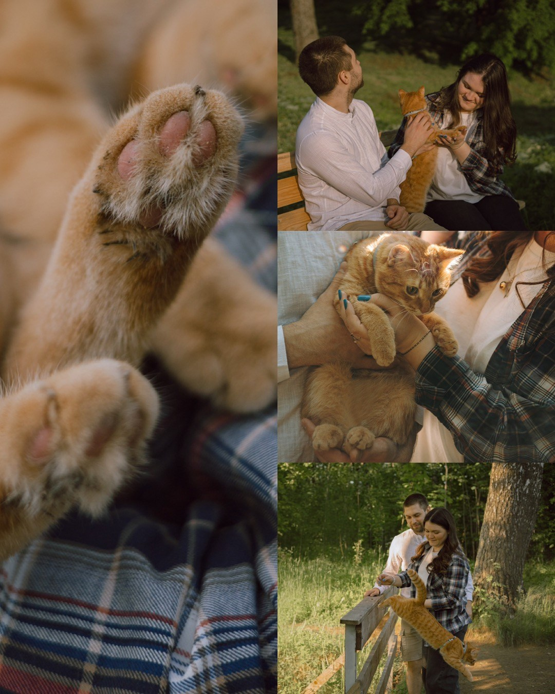 Макс и его семья. Фотограф — анималист •love-story•|Санкт-Петербург