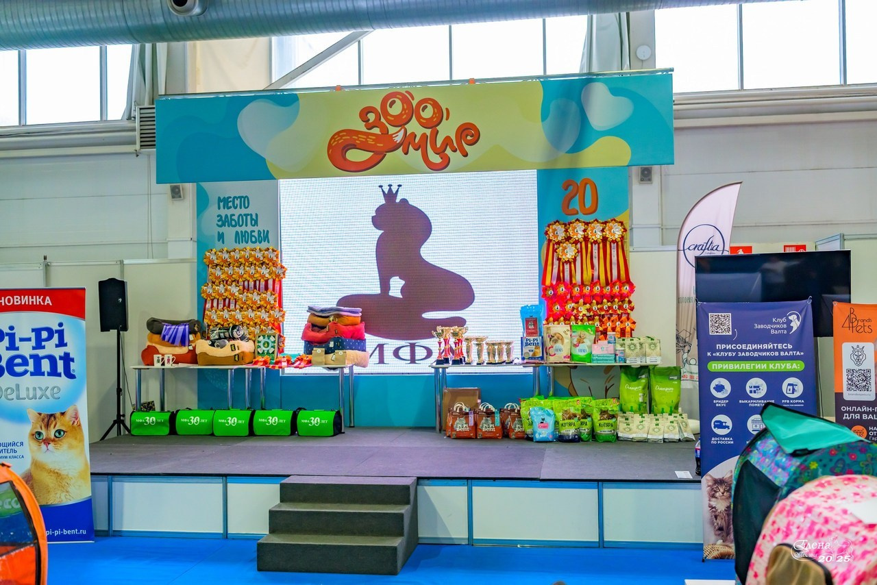 💕Отзывы. Фотограф анималист Елена Галдина г. Красноярск