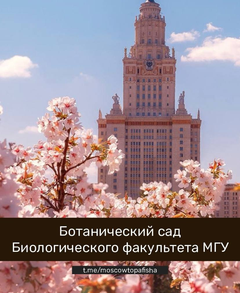 Локации для фотосессии в Москве