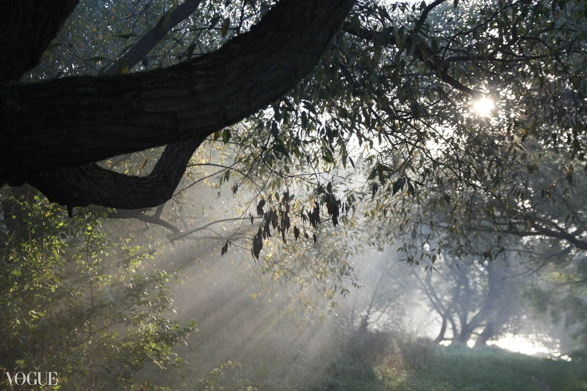 Photovogue. Tatyana Mazok creative photographer in Minsk