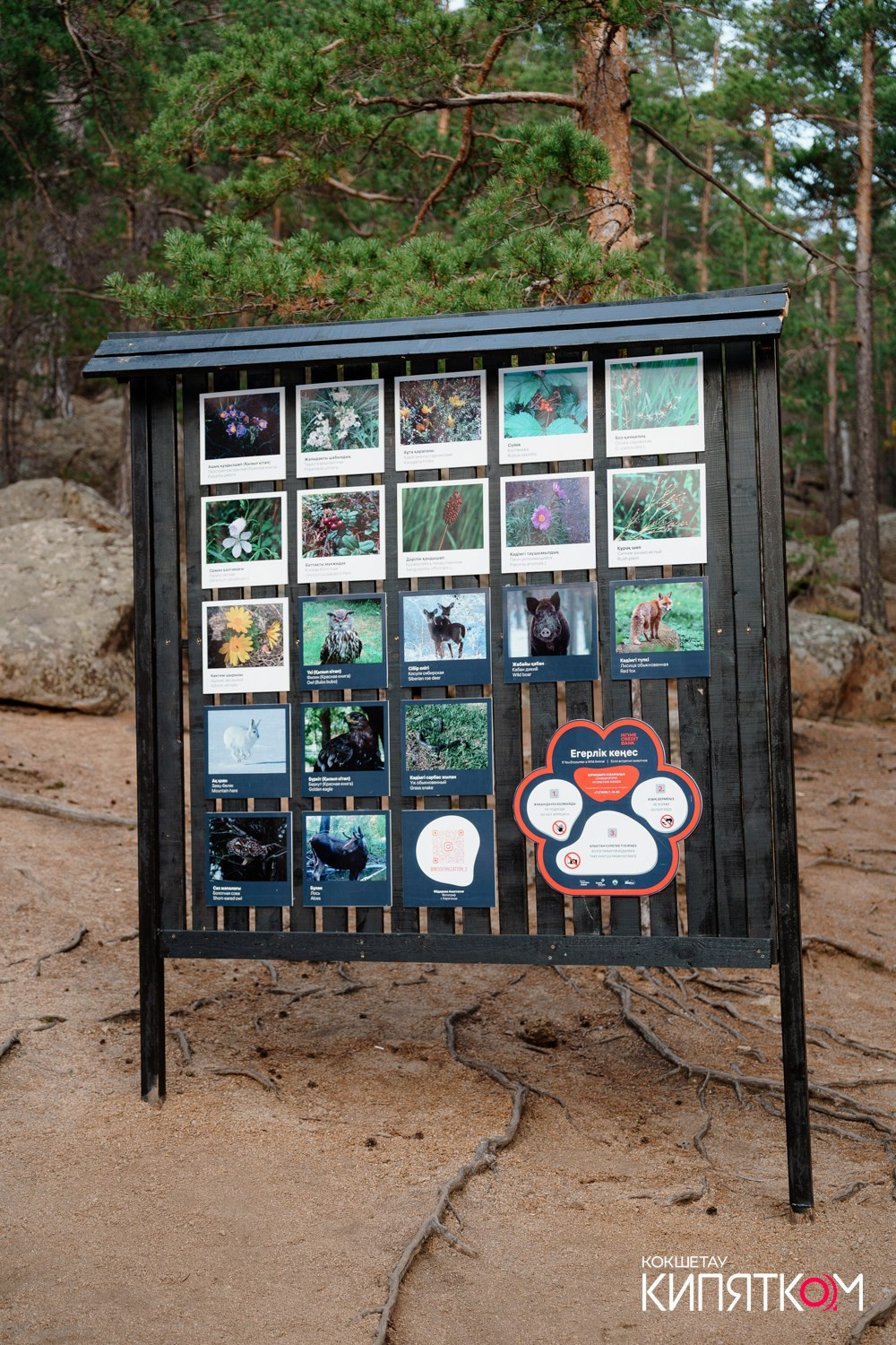 HCB ТРОПА БОЛЕКТАУ. КИПЯТКОМ КОКШЕТАУ