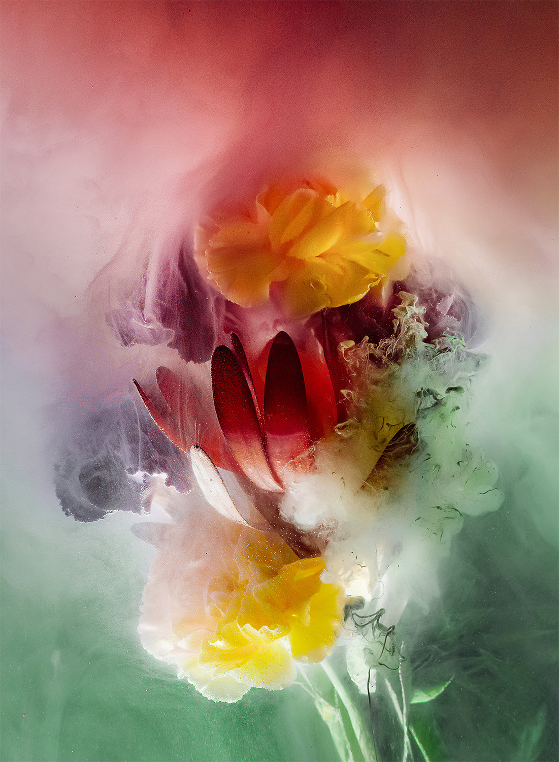 Портфолио. Предметная съемка и фудфото Екатеринбург фотограф Оксана Гимранова