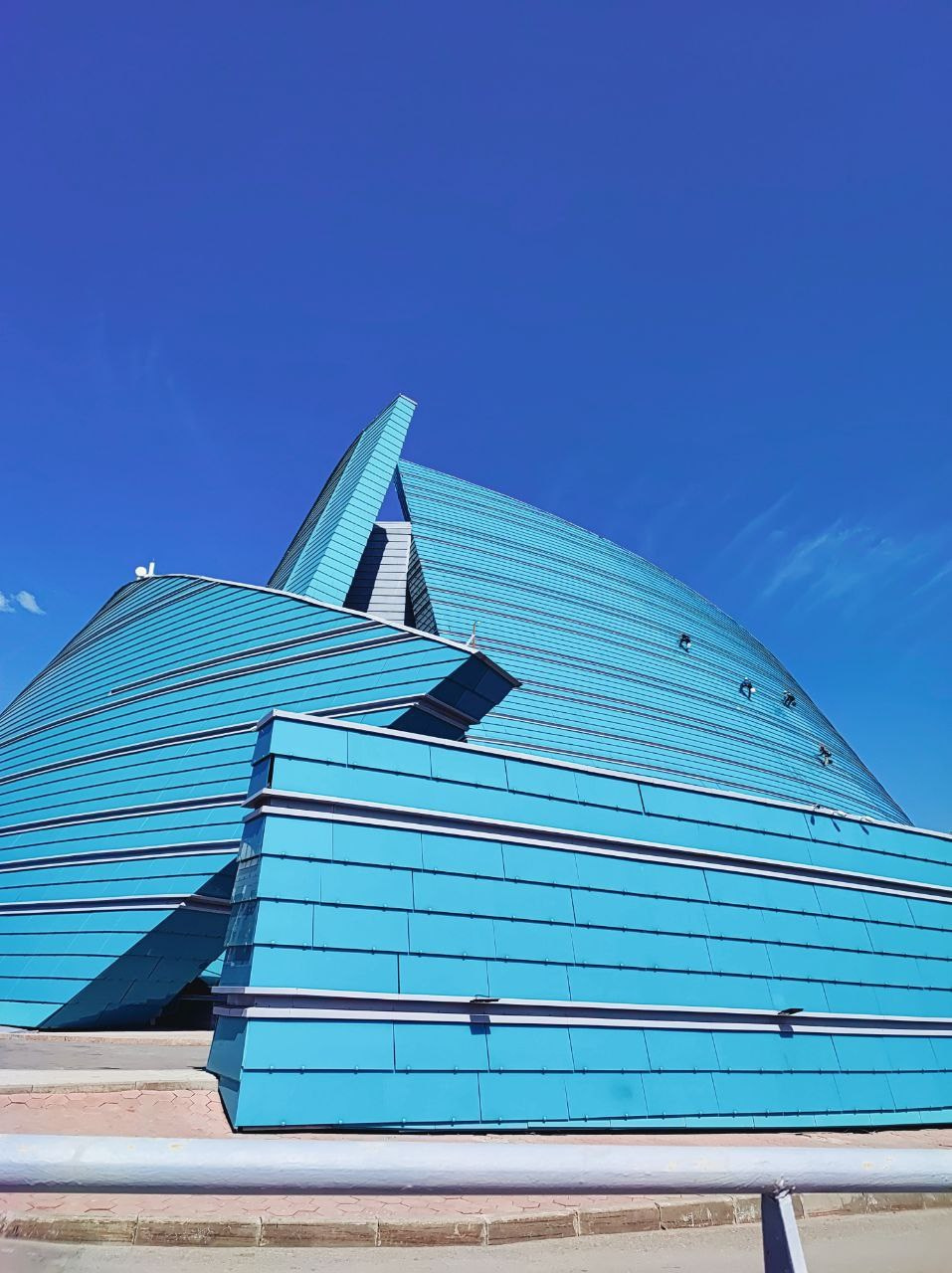 Намобилкус казахский. Репортажный фотограф Алексей Пирязев