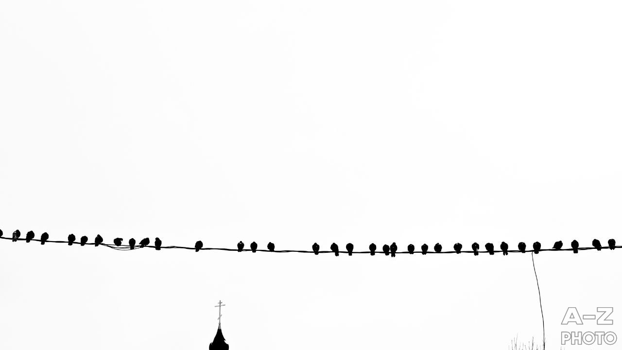 #ФОТОНЕДЕЛИ 15.02.2026. Женский семейный фотограф Тула Москва Захарова Анна