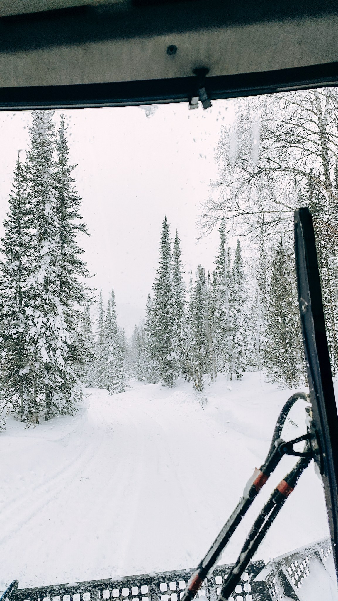 Приисковое. Человек с фотокамерой