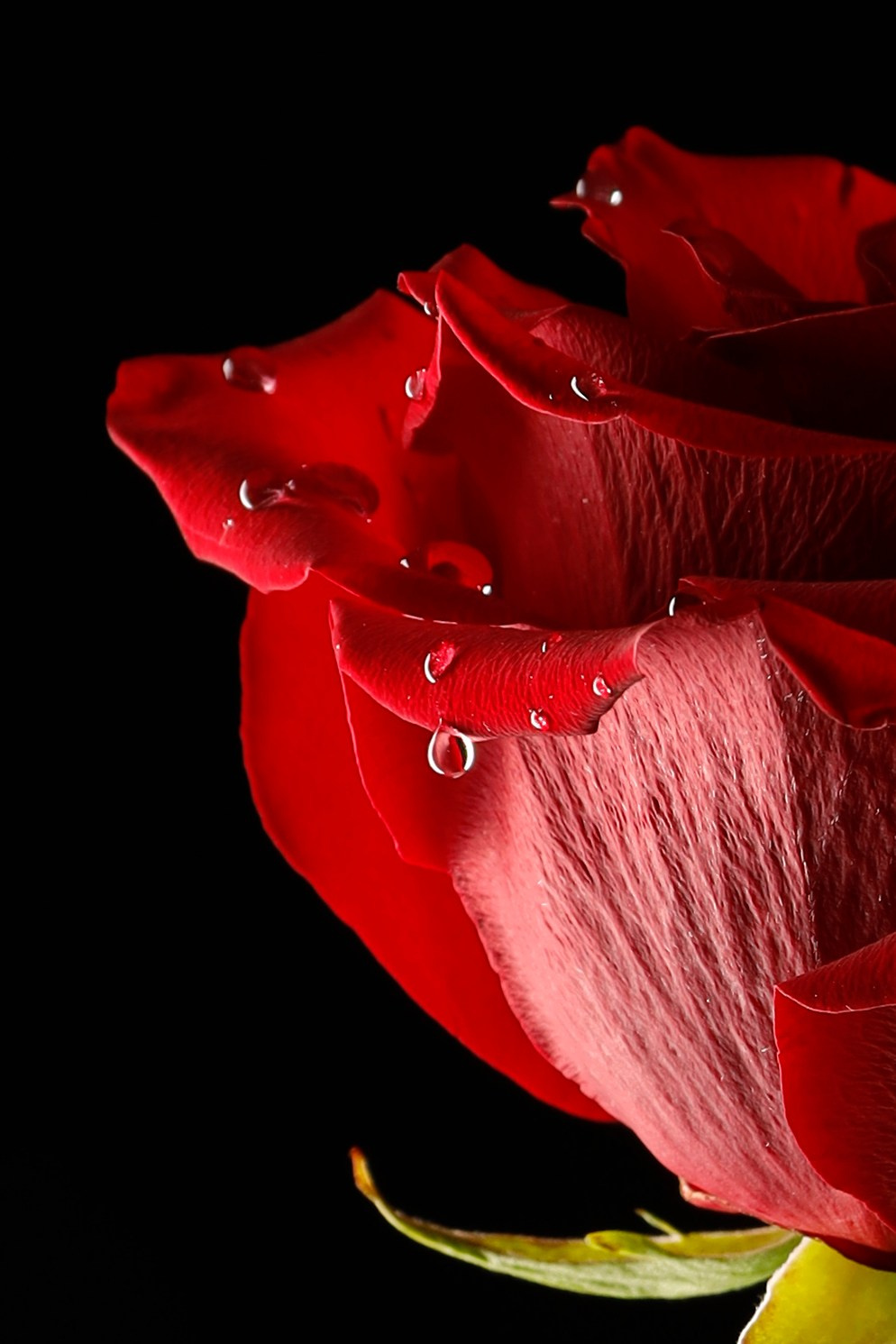 Предметная съемка. Фотограф Светлана Заплатина