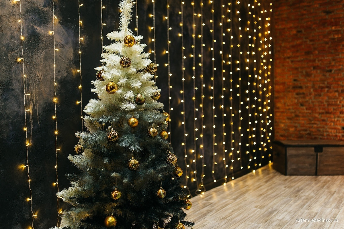 Лебединский студио. Фотограф Ижевск Филипп Усков