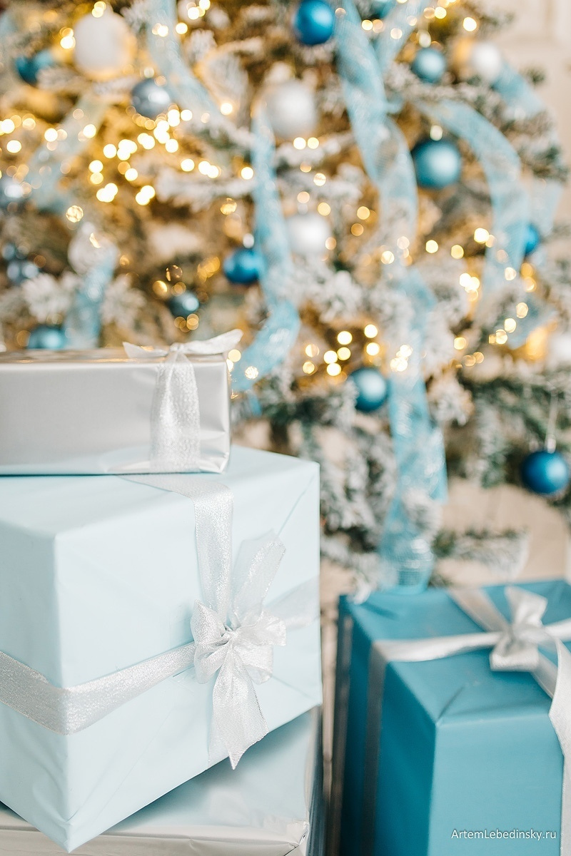 Лебединский студио. Фотограф Ижевск Филипп Усков