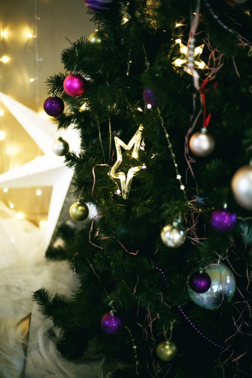 Аляска ЛОФТ. Фотограф Ижевск Филипп Усков