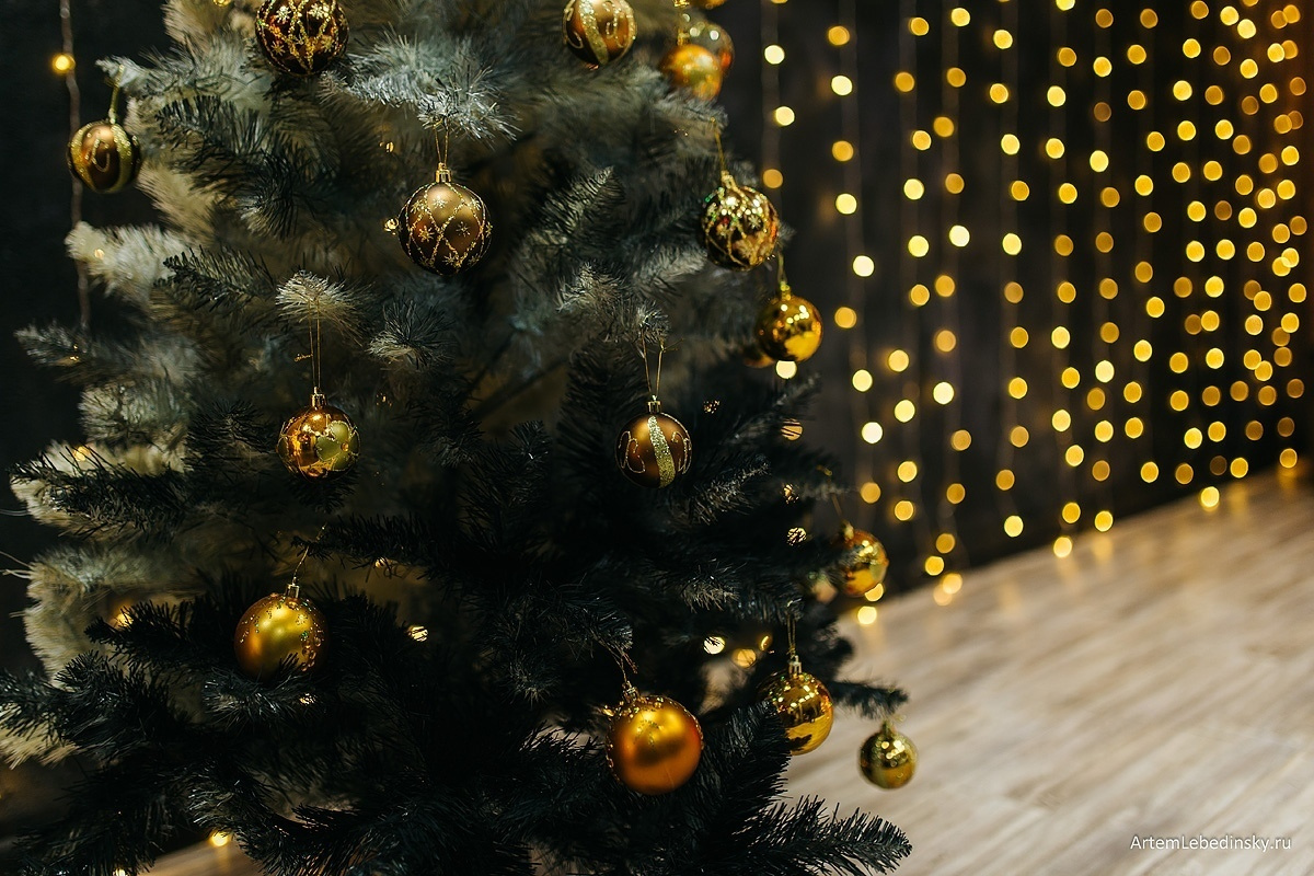 Лебединский студио. Фотограф Ижевск Филипп Усков