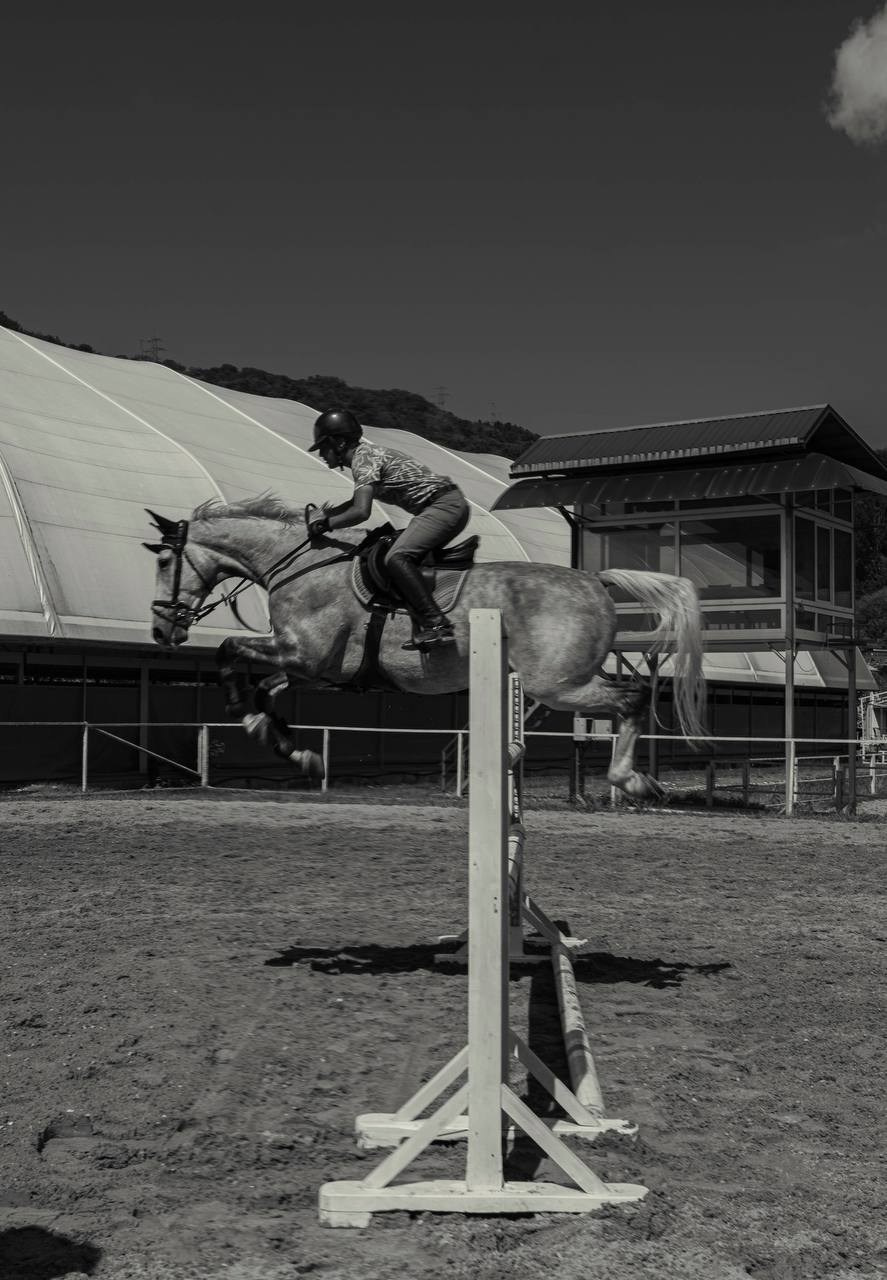 Фотосессия на конюшне в Сочи. Портфолио фотографа Анастасии Блохиной