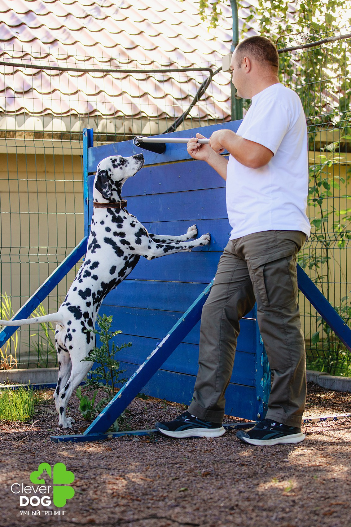 Семинар по поиску запаха с Иваном Ломовым, организатор CleverDog, СПб. Фотограф-анималист Mary Mart — Москва, Питер